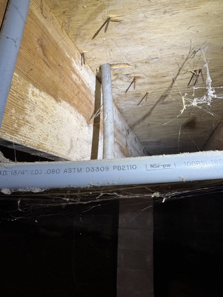 polybutylene plumbing pipe